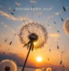 一个人能走多远，看他与谁同行?励志文章