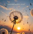 一个人能走多远，看他与谁同行?励志文章