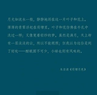 风携细雨，漫步时光岸，半夏微凉，情深几许藏花间。句句经典