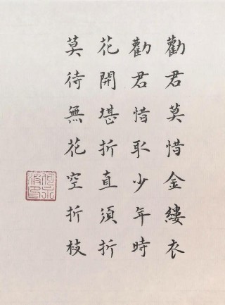 金缕衣歌词短句励志 金缕衣歌词是什么意思呀