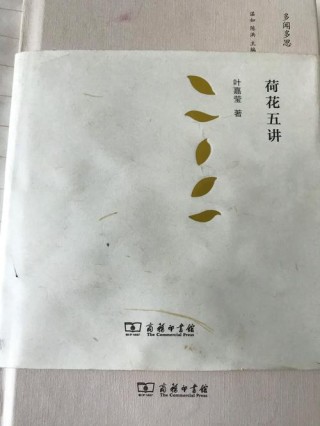 -叶——人生之初