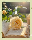 元气满满的早安文案，愿你成为自己喜欢的样子，有野心，有光芒