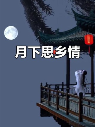 明月千里情悠悠