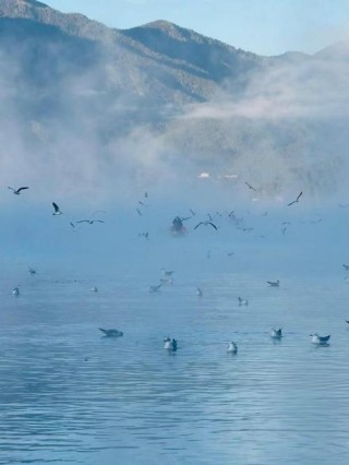 泸沽湖的雾