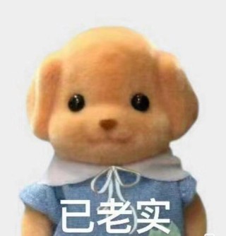 老实的我害怕失去