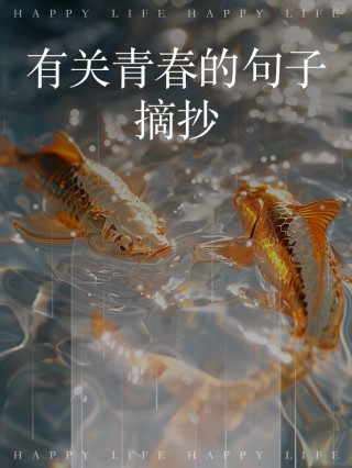 那些伤感而若有如无的青春