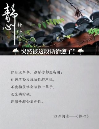 沉静，与世界温柔相处