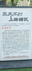 拼了前面保瓦全 （打一字）