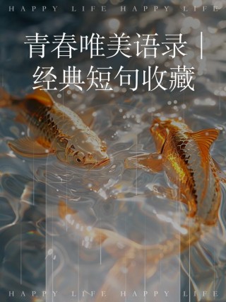 关于青春的唯美句子，青春的唯美诗篇