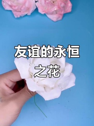 永恒的情谊