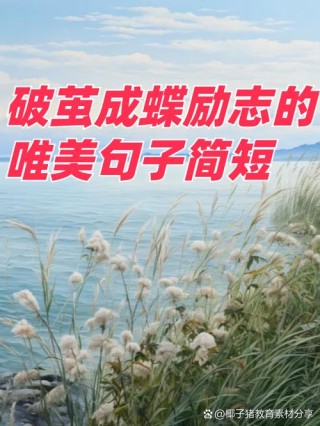 超级有道理人生语录文案：相信自己，你能作茧自缚，就能破茧成蝶