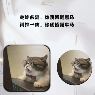 奋斗时期的治愈短句，乾坤未定，你我皆是黑马，加油