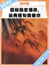 关于目标的名言警句70条经典语录大全