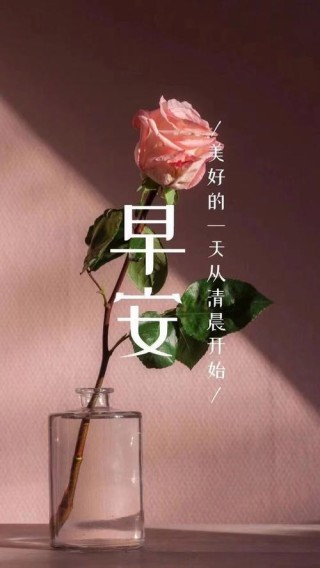 女人励志早安语录简短 励志女人说说