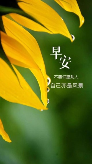 早上好！几条说说情感励志语录，句句让人心疼，送给悲伤难过的你