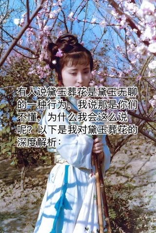 黛玉抹了一把泪（打一人名）