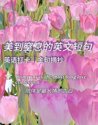 英文句子唯美简短，英文简短唯美句子