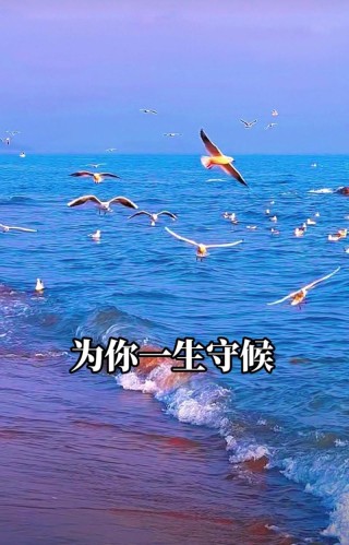 一生去为你守候短句（一生去为你守候短句文案）