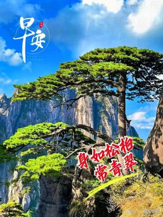 幸福不难，知足就好，今天很好，希望明天也是