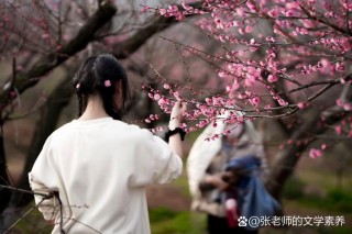 人与梅花一样清