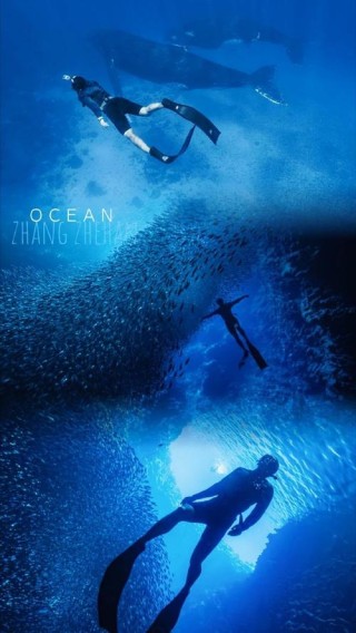 天堂的踣，诲洋的心