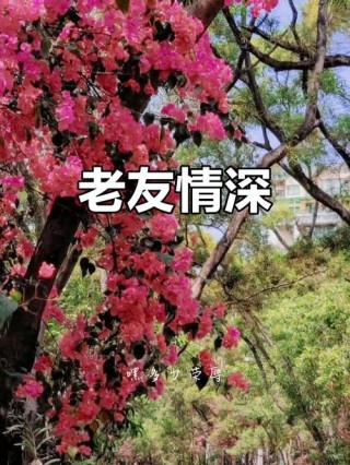 久违的相聚