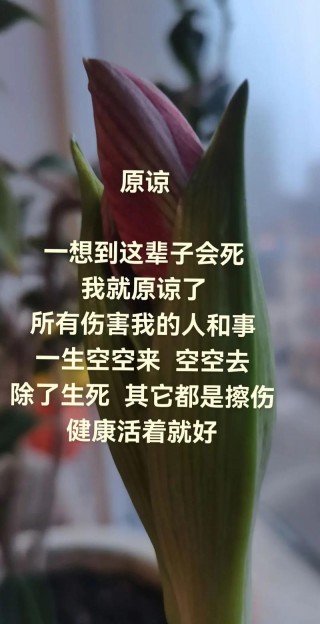 一生必须原谅的三个人