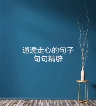 最美的句子句句精辟，最美的句子，句句精辟，字字珠玑。