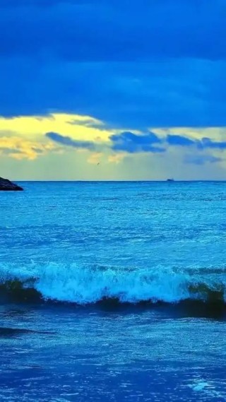 爱—这片蓝色的大海