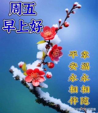 周五早安祝福语，早上好问候短句，愿心之所向，皆是美好