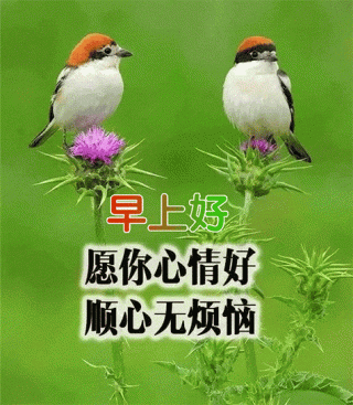 朋友圈唯美早上好祝福图片带字，超幸福暖心早安漂亮祝福动态美图
