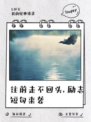 「励志语录」不要回顾来路，来路无可眷恋，值得期待的只有前方