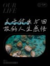 收获前，先学会付出?励志文章