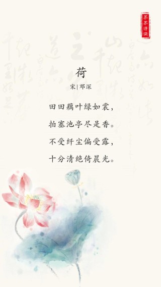清新荷叶美诗六首：夏生荷叶中