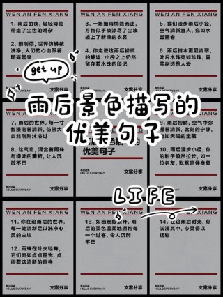 描写雨后风景的优美句子（描写雨后风景的优美句子摘抄大全）