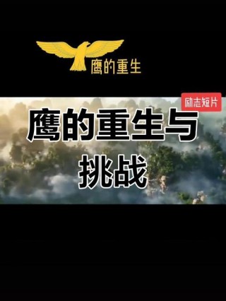 感悟《鹰的重生》蜕变，获得新生