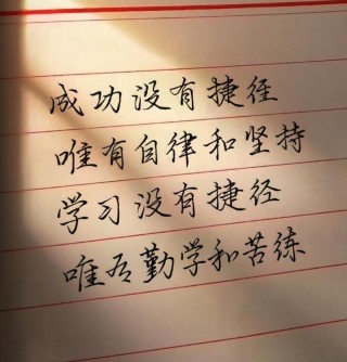 多学一样本事，实力才是一个人最强的底气  #励志语录