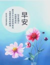 早安心语每日一语，早安心语，每日一语启程新的一天