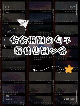 很惊艳的离别的句子：瞬间离别，心永难忘