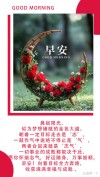 只要有阳光，就—定有希望