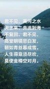 人道流水无情，无望是落花无意