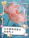 生活中惊喜和意外的唯美句子，透彻经典，绝对值得一看