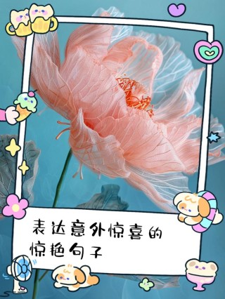 生活中惊喜和意外的唯美句子，透彻经典，绝对值得一看
