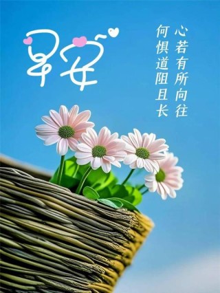 早安励志心语简短句子 微信早安励志语句