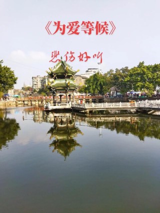 为爱守候