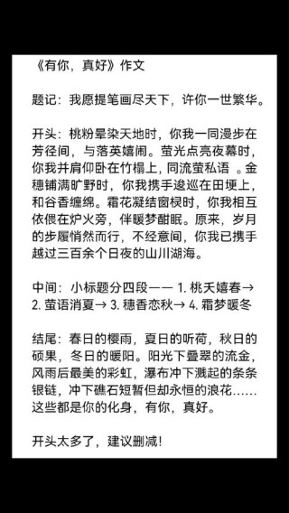 当我把三国杀的台词写进作文，老师的评价是“屎盆子镶金边”