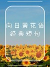 乐观是乌云背后微笑的太阳?励志文章