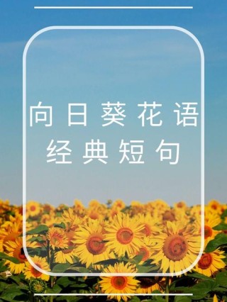 乐观是乌云背后微笑的太阳?励志文章