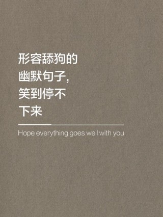 搞笑语录经典短句子，搞笑语录精选，经典短句子集锦