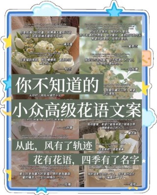 20句高级的小众文案短句